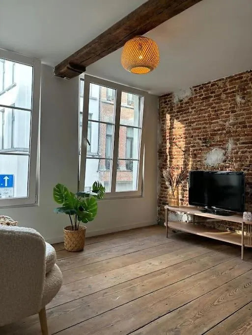 Charming Bohemian Central App Apartment Antwerp